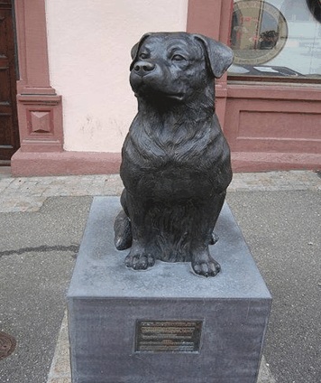 History of the Rottweiler