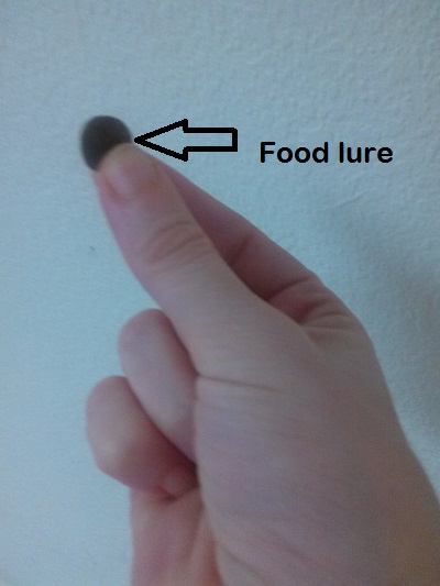 food lure